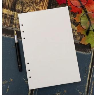 Imported A5 Blank Paper with 6-Hole Punch, 500 Sheets (1000 Pages), 100 GSM - Ideal for Binders and Printing - 6