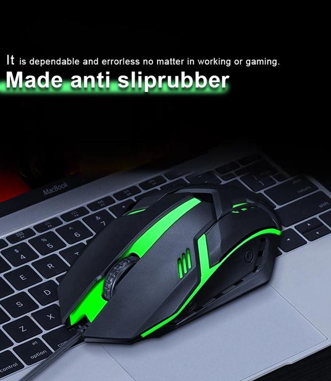 Mouse Image 2