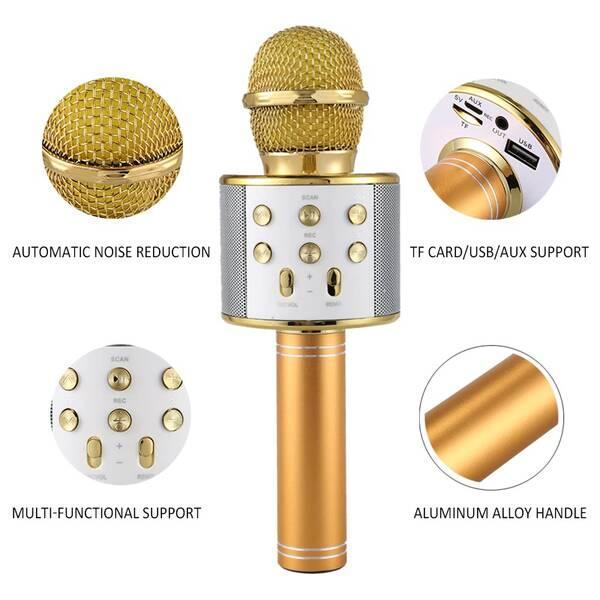 Wireless Microphone and Hi-Fi Bluetooth Speaker