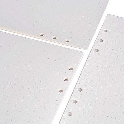 Imported A5 Blank Paper with 6-Hole Punch, 500 Sheets (1000 Pages), 100 GSM - Ideal for Binders and Printing - 2