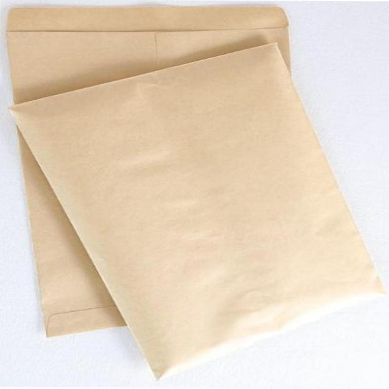 Brown Envelope 2