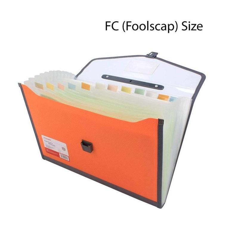 Legal FC Size Expanding Organizer with 13 Section Pockets by Imported Multicolour - 12