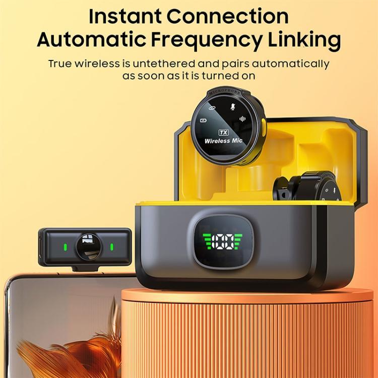 Wireless Microphone 4