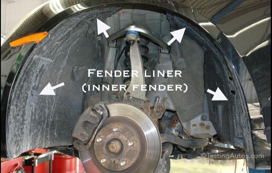 Fender Shield Image 2