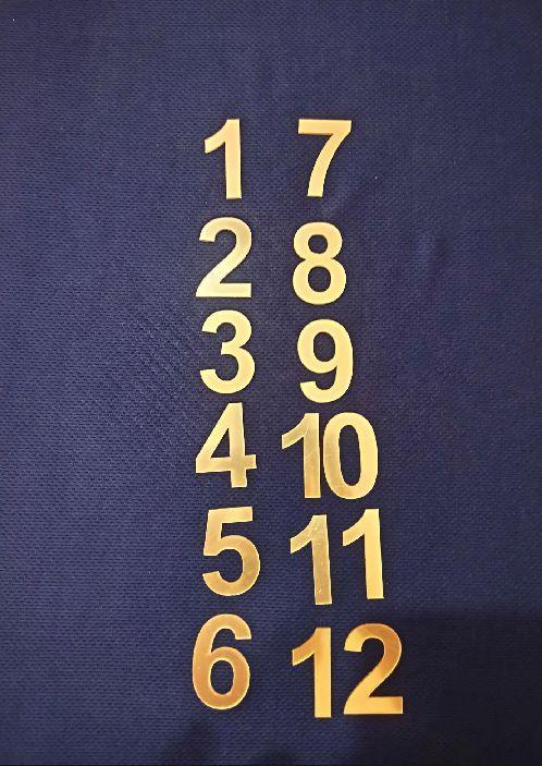 Acrylic Numeric Digits for Resin Clock