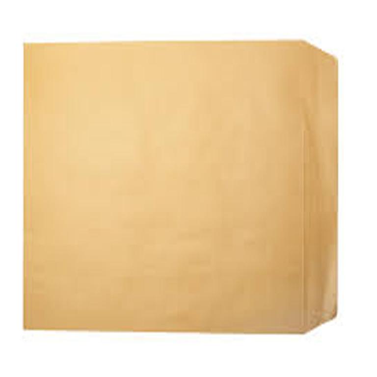Brown Envelope 3