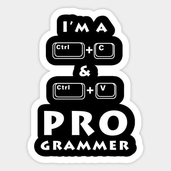 Sarcastic Programmer Stickers