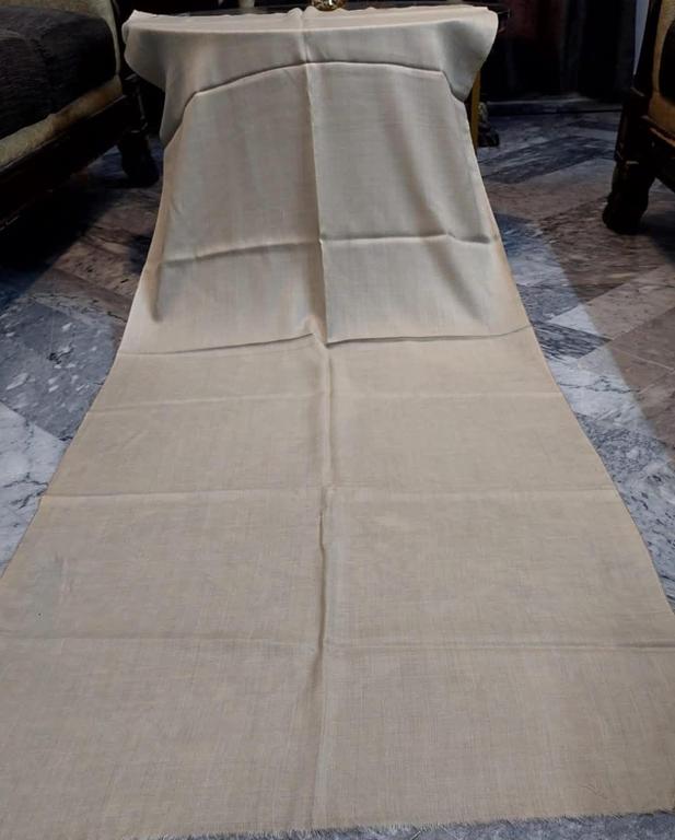 Pashmina Shawl Image 3